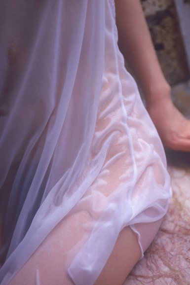 半岛(中国):亚洲整体木片进口需求大幅放缓